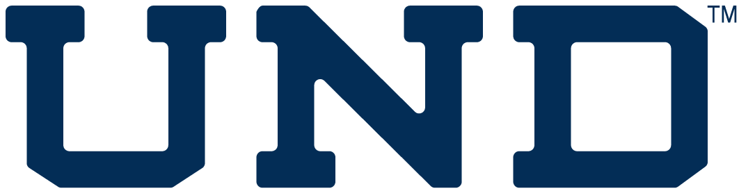 Notre Dame Fighting Irish 0-Pres Wordmark Logo v3 DIY iron on transfer (heat transfer)